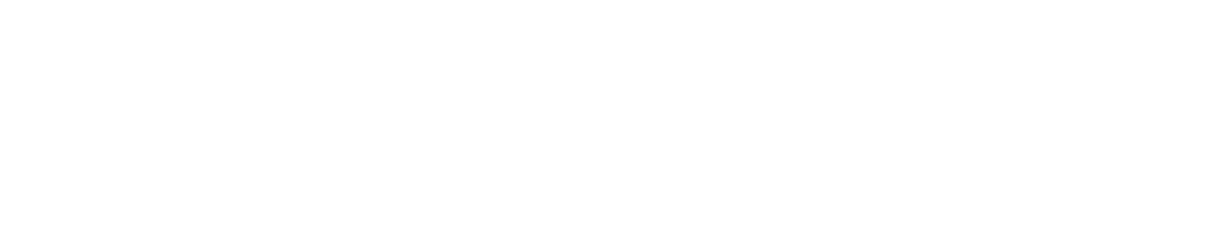 Secureye logo
